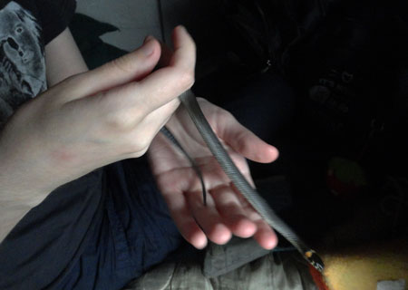 33